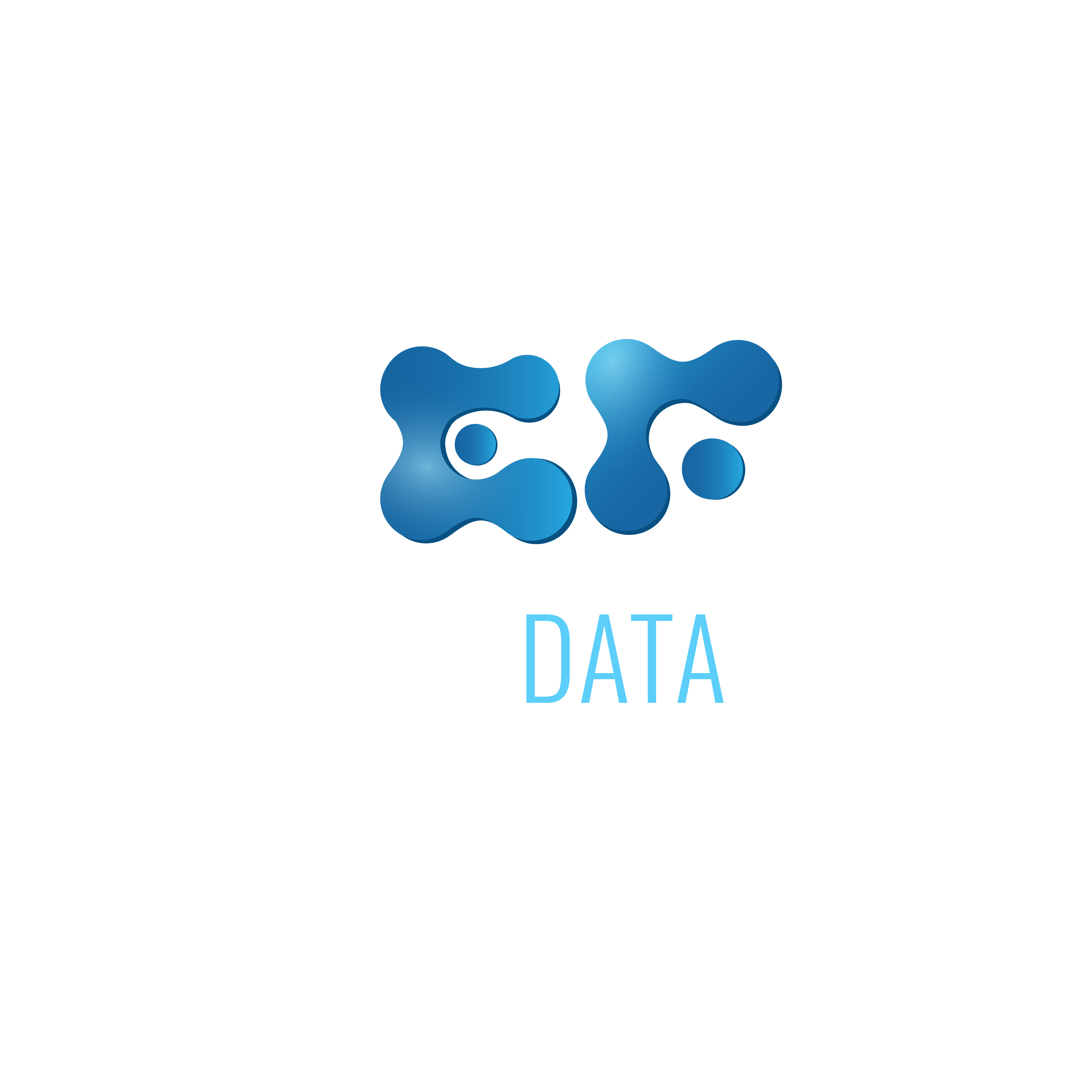 EF Data Solutions Logo